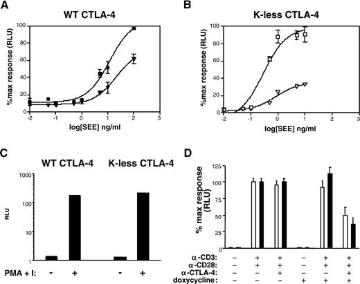FIGURE 8. Enhanced inhibitory function of K-less CTLA-4 mutants on T cell activation. A and B, Inhibition of IL-2 reporter gene transcription by WT or K-less CTLA-4 molecules. A, WT (▪ and ▾); or B, K-less (□ and ▿) CTLA-4-transfected T cells were stimulated for 4 h with APCs and increasing concentrations of SEE in the absence (▪ and □) or presence (▾ and ▿) of doxycycline (5 μg/ml). C, WT CTLA-4 and K-less CTLA-4 were stimulated for 4 h with PMA (100 ng/ml) and ionomycin (1 μg/ml) in the absence of doxycycline. D, WT CTLA-4 (□) and K-less CTLA-4 (▪) were stimulated for 4 h with anti-CD3 (1 μg/bead) coated beads and anti-CD28 soluble or with anti-CD3 (1 μg/bead)/anti-CTLA-4 (4 μg/bead) coated beads and anti-CD28 soluble (20 μg/ml) in the absence or presence of doxycycline (p < 0.05) between CD3 ligation or CD3/CTLA-4 coligation in WT CTLA-4 and K-less CTLA-4-expressing cells. Cells were lysed and a luciferase assay was performed. Results are expressed as percentage of maximal response for each clone (A, B, and D) or relative luciferase units (RLU) (C), and are representative of five different experiments and four different clones of each transfectant.