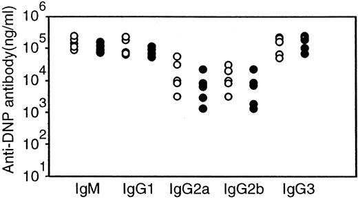 FIGURE 2. Normal Ig production in response to TD Ag in Gab1−/− FL chimeras. DNP-KLH was administered to Gab1+/+ and Gab1−/− FL chimeras by i.p. injection. Concentrations of Ag-specific Abs in the sera of Gab1+/+ (○) and Gab1−/− (•) FL chimeras (n = 5), respectively, are shown.