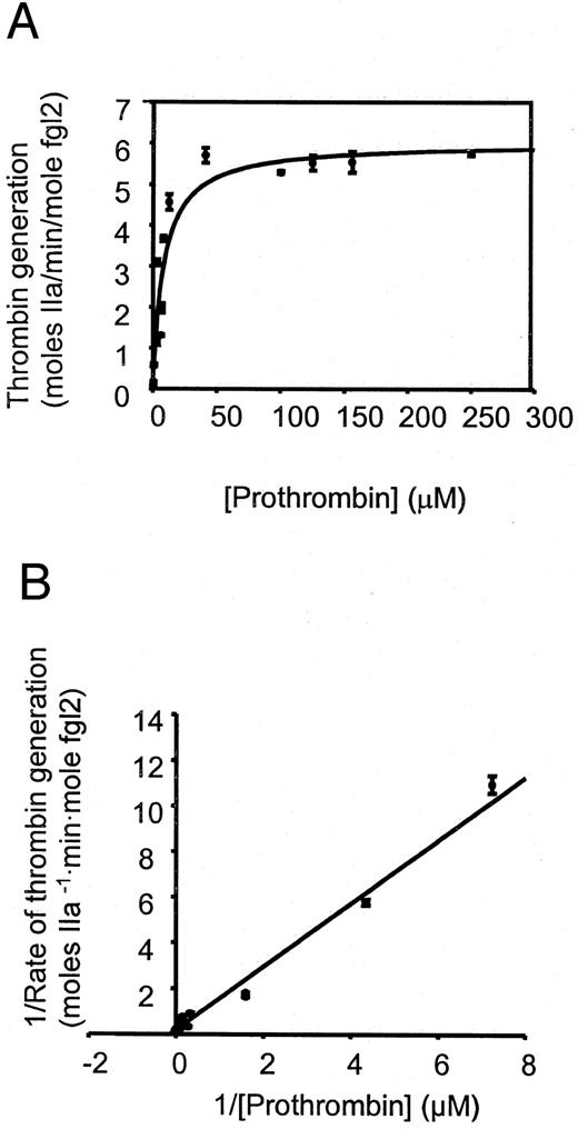 FIGURE 3. The Michaelis-Menten (a) and Lineweaver-Burk (b) plots of fgl2 prothrombinase converting prothrombin to thrombin. Fgl2 protein (150 nM) reconstituted into 75% PC:25% PS (20 μM membrane vesicles was incubated with varying concentrations of prothrombin (0–250 μM)). Following initiation of the reaction at 37°C, aliquots were quenched and initial rates of thrombin generation were analyzed by measurement of the hydrolysis of Spectrozyme TH (20 μM) as described in Materials and Methods. The rate of thrombin formation at each prothrombin concentration was then calculated and expressed as moles of thrombin (IIa) per minute per mole of fgl2 protein reconstituted into the phospholipid vesicles. The Lineweaver-Burk figure is plotted as reciprocals of rate vs prothrombin concentration.