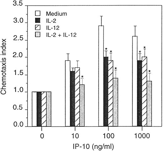 FIGURE 6. Effect of IL-2 and IL-12 on chemotaxis of primary NK cells. Freshly isolated primary NK cells were stimulated with 100 U/ml IL-2 and 10 U/ml IL-12, alone or in combination for 24 h. The NK cells were placed into the upper compartment of a microchemotaxis chamber while the chemoattractant, IP-10, was placed into the lower compartment at the various concentrations indicated. The amount of chemotactic activity was evaluated following a 4-h incubation. All results are expressed as the mean ± SD for triplicate determinations. Significant changes in migration as compared with medium alone are indicated by an asterisk (∗, p < 0.05). The data are from one representative experiment of two performed.