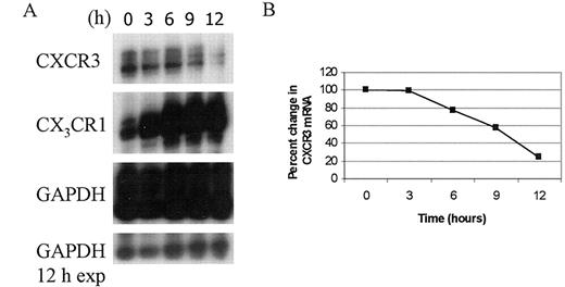 FIGURE 7. Kinetics of CXCR3 mRNA accumulation in primary human NK cells. A, Freshly isolated NK cells were treated with IL-2 (100 U/ml) plus IL-12 (10 U/ml) for the times indicated. Total mRNA was isolated and CXCR3 and CX3CR1 mRNAs were measured by RPA analysis using a hCR6 multiprobe. GAPDH was included as a control for sample-to-sample variation. A 24-h exposure is shown for all mRNAs. A 12-h exposure (exp) of GAPDH mRNA is included to demonstrate sample and gel loading variations. B, Graphical representation of the percent change in CXCR3 mRNA shown in A. The amount of CXCR3 mRNA at time 0 was arbitrarily assigned as 100%. This experiment is representative of three independent assays performed on three separate donors.