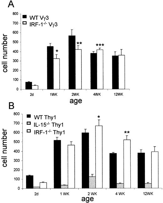 FIGURE 4. Emergence kinetics of Vγ3+ DETCs and Thy-1+ DETCs in WT vs IRF-1−/− mice. Epidermal sheets from WT, IL-15−/−, or IRF-1−/− mice at the indicated ages were stained with FITC-conjugated anti-Vγ3 mAb (A) or FITC-conjugated anti-Thy-1 mAb (B). Data are expressed as the number of cells per square millimeter ± SD for at least eight mice of each genotype. A, ∗, p = 0.0001; ∗∗, p = 0.0075; ∗∗∗, p = 0.04 (unpaired t test). B, ∗, p = 0.04; ∗∗, p < 0.0001 (unpaired t test).