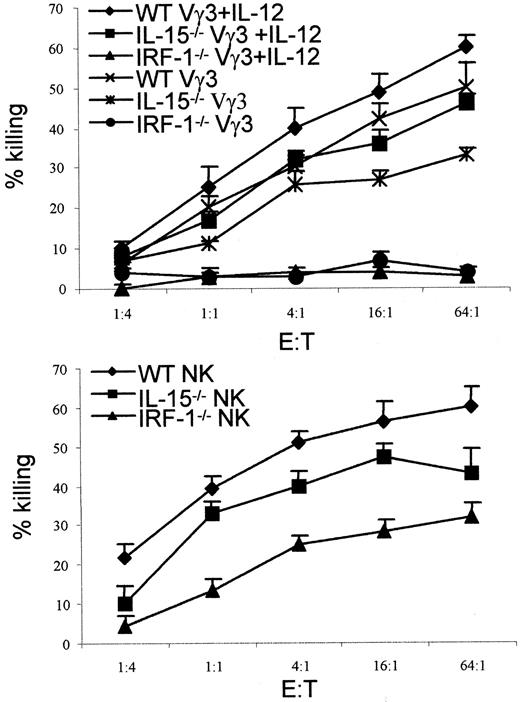 FIGURE 8. Normal and aberrant cytotoxic capacity of IL-15−/− and IRF-1−/− Vγ3 cells, respectively, after culture in IL-15 with or without IL-12. FD17 thymocytes were cultured in the presence of 50 ng/ml rIL-15 for 4 days. Vγ3 cells and NK cells were sorted and cultured for an additional 2 days in the presence of 50 ng/ml rIL-15 with or without 2 ng/ml IL-12. The cytotoxicity of Vγ3 cells (upper panel) and NK cells (lower panel) was analyzed in a 51Cr release assay against YAC-1 target cells. Experiments were performed four times in triplicate. Results are expressed as the mean ± SD.