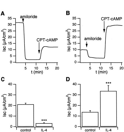 FIGURE 1. Effect of chronic stimulation with IL-4 on amiloride-sensitive and cAMP-activated currents in human bronchial epithelia. A and B, Representative traces of two Ussing chamber experiments performed on untreated and treated cells, respectively. C, Amiloride-sensitive current in control (n = 39) and treated cells (n = 12). D, Currents activated by CPT-cAMP in control (n = 28) and IL-4-treated cells (n = 9). IL-4 (10 ng/ml) was applied for 48 h. The asterisks indicate that the difference was statistically significant (p < 0.001).