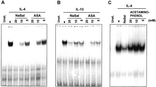 FIGURE 1. Salicylates, but not acetaminophenol, inhibit STAT6 activation. A, M12 cells were cultured with the indicated concentrations of NaSal and ASA for 1 h before stimulation with IL-4 (10 ng/ml) for 30 min. STAT6 DNA-binding activity in cell extracts was analyzed by EMSA using the IFN-γ activation site sequence contained in the Cε promoter. B, U937 cells were cultured with NaSal or ASA for 1 h, and then stimulated for 30 min with IL-13 (400 ng/ml). STAT6 activation was then analyzed by EMSA. C, M12 cells were cultured with nothing, NaSal (20 mM), or the indicated concentrations of acetaminophenol. Then, IL-4 was added, and STAT6 binding to DNA was analyzed by EMSA.