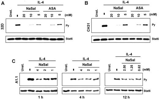 FIGURE 3. Salicylates inhibit IL-4-induced STAT6 tyrosine phosphorylation. 32D (A) and CH31 (B) cells were incubated for 1 h with the indicated concentrations of NaSal and ASA, and were then stimulated with IL-4 for 30 min. C, A1.1 cells were cultured for 1, 4, and 12 h with the indicated concentrations of NaSal before IL-4 treatment. In all cases, STAT6 was precipitated in cell lysates using anti-STAT6 followed with protein G-agarose. Precipitates were separated by SDS-PAGE and immunoblotted with an antiphosphotyrosine Ab to detect tyrosine-phosphorylated (Py, upper blots). Membranes were stripped and reprobed with anti-STAT6 Ab (Stat6, lower blots).