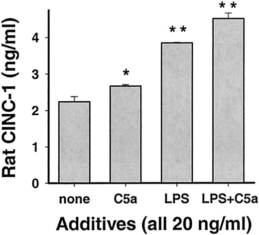 FIGURE 6. Rat CINC-1 ELISAs in supernatant fluids from RAEC after stimulation (6 h at 37°C) with LPS, C5a, or LPS + C5a, according to details in the figure. An asterisk indicates significant changes compared with the control group, whereas a double asterisk indicates significant changes compared with any other group. The data are representative of three separate and independent experiments performed in triplicates.