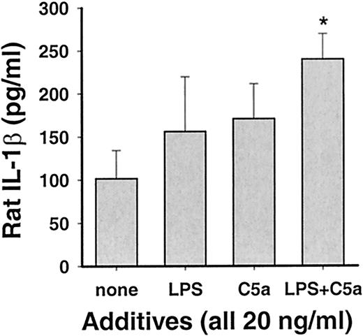 FIGURE 8. Rat IL-1β ELISA for lysates of RAEC after stimulation with LPS, C5a, and the combination of LPS and C5a for 6 h at 37°C. Significant additive effects on intracellular IL-1β contents compared with the control group are demonstrated for the combined stimulation of RAEC with rrC5a and LPS (∗). The data are representative of experiments performed with three different RAEC preparations for each condition.