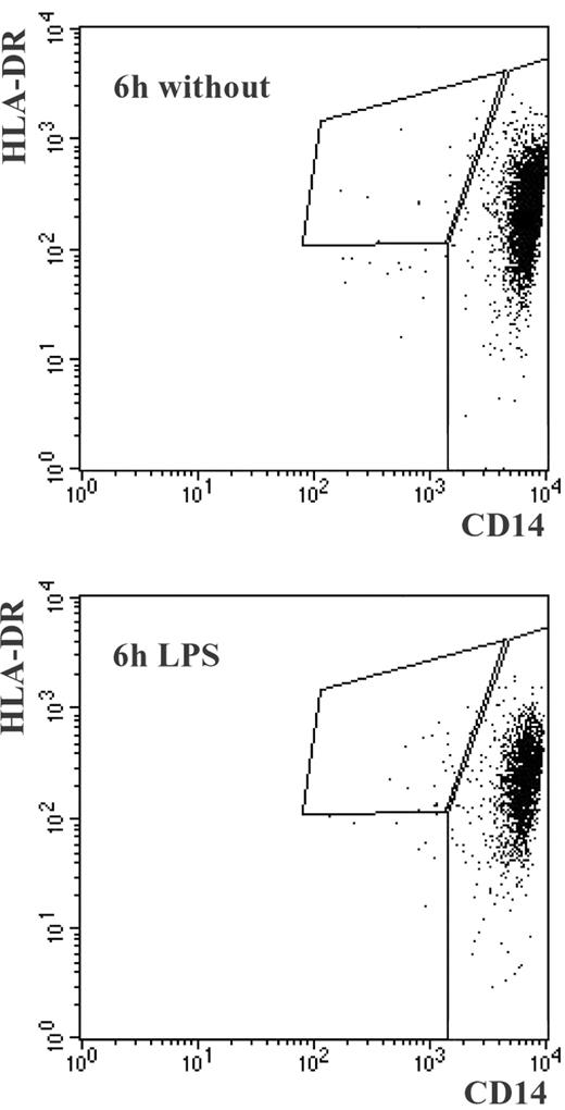 FIGURE 2. Stability of CD14++ monocyte phenotype. CD14++ monocytes were purified by MACS and were cultured for 6 h in the presence of BFA without (upper panel) and with LPS at 100 ng/ml (lower panel). Cells were then stained for CD14 and HLA-DR. In the example given, the CD14+DR++ monocytes were 0.5% without and 0.8% with LPS stimulation. In three experiments the average respective numbers were 0.5 ± 0.1 and 1.1 ± 0.6% (not significant).