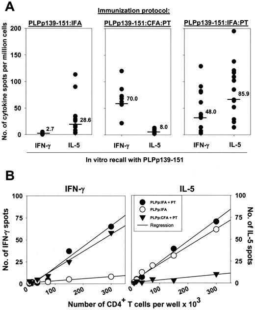 FIGURE 2. PT induces clonal expansion of PLPp139–151-specific Th1 and Th2 cells. Six- to 8-wk-old SJL/J mice were immunized with PLPp139–151 in IFA (left panel), CFA and PT (middle panel), or IFA and PT (right panel). Two to 7 wk later, frequencies of PLPp139–151-specific IFN-γ- and IL-5-producing T cells were measured by cytokine ELISPOT assay in single-cell suspensions of spleen cells. A, Cytokine-producing cells per million spleen cells. Horizontal bars indicate means of groups of 7–13 mice tested in three independent experiments. The values shown are the means of triplicate wells, with the background subtracted (usually fewer than five spots). Stimulation index (SI) of >3 is considered positive (see Materials and Methods). B, PLPp139–151-specific IFN-γ (left panel) or IL-5 (right panel) production by CD4+ T cells. T cells were separated as outlined in Materials and Methods. No Ag-specific cytokine production was seen in unimmunized mice or mice injected with PT alone (data not shown).
