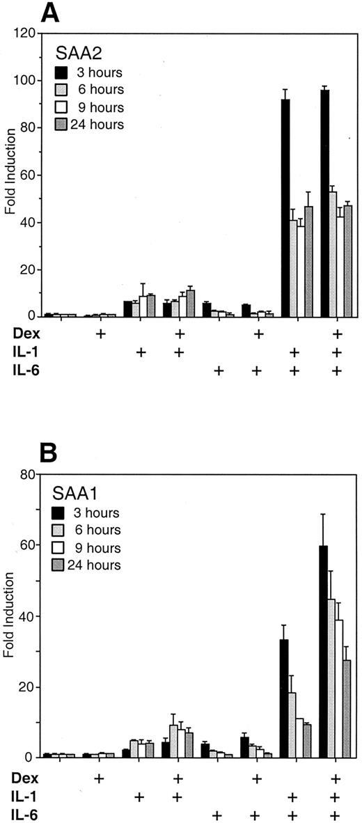FIGURE 2. Time course of cytokine/dexamethasone induction of SAA1 and SAA2 promoter luciferase reporter constructs. HepG2 cells transfected with pGL2-SAA2pt (A) or pGL2-SAA1pt (B) luciferase reporter constructs were treated with medium only, dexamethasone (50 nM), IL-1 (10 ng/ml), IL-1 plus dexamethasone, IL-6 (10 ng/ml), IL-6 plus dexamethasone, IL-1 plus IL-6, or IL-1 plus IL-6 plus dexamethasone. Cells were harvested 3, 6, 9, and 24 h after treatment and relative luciferase values were calculated and compared with untreated controls. The difference between pGL2-SAA1pt luciferase reporter construct treated with IL-1 plus IL-6 and treated with IL-1 plus IL-6 plus dexamethasone was statistically significant at all time points (p ≤ 0.02).