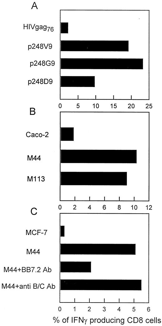 FIGURE 4. Generation of human CTL that recognize MAGE-A-expressing tumor cell lines. CD8+ cells from healthy donors’ PBMC were in vitro stimulated with heteroclitic p248V9 peptide-loaded autologous DCs three times at 1-wk intervals. After the third stimulation p248V9-specific CTL were purified as described in Materials and Methods, cultured for an additional week, and tested for recognition of native peptide-loaded T2 cells (A) and HLA-A*0201+MAGE-A+ tumor cell lines (B and C). In blocking experiments (C), tumor cells were preincubated with BB7.2 and B1.23.2 mAbs. CTL activation was evaluated by measure of IFN-γ-producing cells as assessed by intracellular IFN-γ staining. Data are representative of results of two experiments.