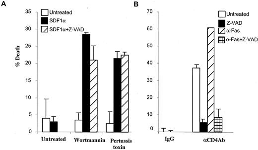 FIGURE 4. The SDF1α-mediated death of CD4 T cells as a result of blocking prosurvival signals is a caspase-independent process. A, Resting CD4 T cells were untreated, preincubated with pertussis toxin or Wortmannin. Some points were then treated with SDF1α or SDF1α plus the general caspase inhibitor Z-VAD. B, CD4 T cells were cross-linked with anti-IgG or anti-CD4 and then assessed for susceptibility to Fas-mediated apoptosis. Some points were also incubated with Z-VAD.