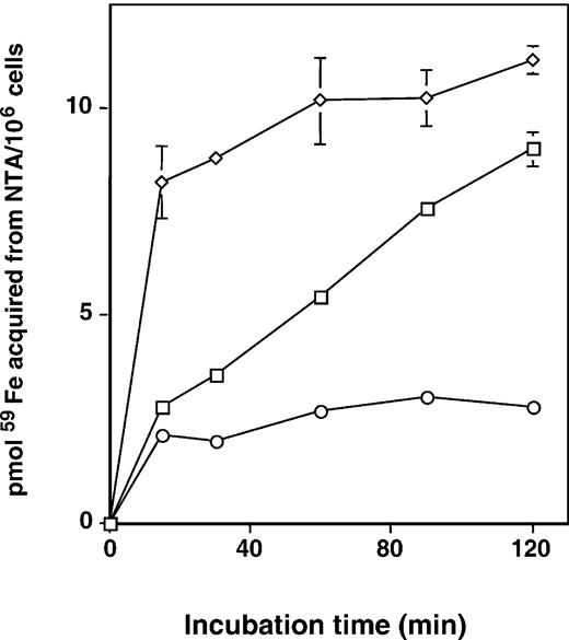 FIGURE 4. The amounts of Fe acquired from transferrin/lactoferrin are not related to ability of the chelates to induce an increase in Fe uptake. Cells were preincubated with 100 μM [Fe2]transferrin (⋄), [Fe2]lactoferrin (○), or buffer alone (□) for 30 min. The cells were washed and then incubated with 750 nM [59Fe]NTA at 37°C. The cells were withdrawn at specified time and cell-associated 59Fe was assessed. Results are mean ± SD of two separate experiments.