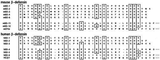 FIGURE 3. Comparison of the predicted amino acid sequences of the hBD and mBD families. Shown are partial amino acid sequences of the hBD and mBD isoforms whose tissue distribution was evaluated. The isoforms below the space were included in the epididymis-specific β-defensin subgroup. The solid boxes indicate the conserved residues among the multiple hBDs and mBDs. The dashed boxes show the conserved cationic residues.