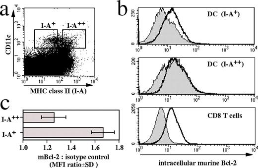 FIGURE 1. Endogenous Bcl-2 expression in immature vs mature DC. a, Spleen cells from C57BL/6 mice were surface-stained for CD11c (PE) and MHC-II I-Ab (biotin plus streptavidin-APC) and then, following fixation and permeabilization, stained internally for Bcl-2 (FITC). Immature DC vs mature DC were discriminated according to their MHC-II (I-A) expression. b, Representative stainings for Bcl-2 (thick lines) and isotype control mAb (filled histogram) in immature DC (I-A+, top panel), mature DC (I-A++, middle panel), and as an internal staining control, in CD8+ T cells (bottom panel) are shown. Statistical analysis (Student’s t test) of MFI values from isotype control and specific Bcl-2 stainings showed significance for Bcl-2 staining in immature DC (I-A+, top panel; p ≤ 0.0005, n = 4), but not in mature DC (I-A++, middle panel; p = 0, 4). c, To accurately compare the Bcl-2 expression levels detected in cell types with different background staining properties, the ratio between Bcl-2 and isotype control MFI values (±SD) was formed for each staining. Data are representative of four different stainings (n = 3–4).