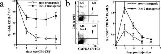FIGURE 3. Survival advantage of cultured Bcl-2-expressing DC in vitro and after adoptive transfer in vivo. a, Bcl-2 transgenic (▪) or nontransgenic (□) DC from GM-CSF bone marrow cultures were removed from GM-CSF containing medium at day 8 of culture and washed extensively. The DC were further cultured in the absence of growth factor, and the percentage of surviving cells (CD11c-positive, MHC-II (IAb)-positive and propidium iodide-negative) was determined by flow cytometry at the indicated time points (data not shown). The percentage of viable DC per timepoint is shown as the mean (n = 4) ± SD from one of three experiments with similar outcomes. b, CMFDA-labeled DC from GM-CSF culture were injected s.c. into the lower hind leg of C57BL/6 recipients (day 0), and draining popliteal LNs were harvested daily. The LN cells were stained with PE-conjugated with CD11c before analysis. Representative dot plots from day 1 (upper panels) and day 4 (lower panels) postinfection are shown; migrating DC are located in the upper right quadrant (CFMDA+, CD11c+). CMFDA+ non-DC (CMFDA+CD11c−, lower right quadrant) have not been considered for the kinetic analysis. The kinetics of CFMDA-labeled DC migration into the draining LN are shown in the graph as the percentage of total LN cells. Both popliteal LNs were collected and pooled for two to three mice per day; SD are indicated.