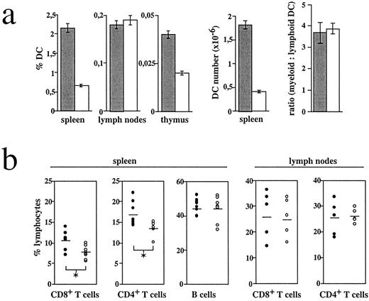 FIGURE 5. Bcl-2 transgenic mice have higher frequencies and numbers of DC in spleen and thymus. Spleens, thymi, and LNs from CD11c-Bcl-2 transgenic mice (▪) or nontransgenic littermates (□) were analyzed by flow cytometry and cell counting to determine frequencies and numbers of lymphocytes. a, DCs were identified as CD11c/MHC-II double-positive cells in the large forward scatter and intermediate side scatter gate. To determine the ratio of myeloid to lymphoid DC, spleen cell suspensions were further analyzed with CD11c and CD8α or CD11b-specific mAb. Myeloid DCs were identified as CD11c+CD11b+ cells and lymphoid DC as CD11c+CD8α+ (data not shown). The ratio was calculated from the percentages of each population. Data are represented as mean values ± SD of n = 5–8 mice and are representative of five experiments with similar results. b, T cells (CD8+ and CD4+) and B cells were identified with mAbs specific for CD8, CD4, or B220, respectively. Each point represents an individual mouse (•, transgenic; ○, nontransgenic), and mean values are shown as a thin horizontal line. (∗, p ≤ 0.015; Student’s t test)