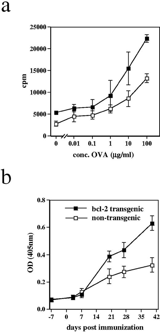 FIGURE 6. CD11c-Bcl-2 transgenic mice mount stronger cellular and humoral immune responses following immunization. a, Transgenic (▪) and nontransgenic mice (□) were immunized s.c. with 100 mg NIP-OVA/CFA (1:1 mixture), and draining LNs were collected 7 days later. b, Total LN cells (5 × 105) were cultured in the presence of graded amounts of OVA, and proliferation was measured as described in Materials and Methods. Alternatively, mice were immunized with NIP-OVA, and sera were taken at the indicated time points. ELISA for NIP-specific Abs was performed with 1/1600 dilutions of sera on NIP-BSA-coated plates and followed by detection with a goat anti-mouse IgG mAb. Mean values (±SD) are shown (n = 4–5).