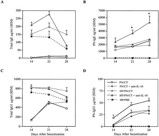 FIGURE 8. PN/CT-sensitized, helminth-infected mice treated with neutralizing Abs to IL-10 make high levels of PN-specific IgE. Mice were given three doses of neutralizing Ab to IL-10 according to the protocol depicted in Fig. 1C. Total IgE (A), PN-specific IgE (B), total IgG1 (C), and PN-specific IgG1 (D) levels in sera from H. polygyrus-infected or noninfected C3H/HeJ mice were measured on the indicated days by ELISA. Anti-IL-10-treated HP/PN/CT mice produced significantly more PN-specific IgE than nontreated mice (p < 0.01 and 0.001 at 14 and 21 days after sensitization, respectively). Individual serum samples (five mice per group) were measured and are expressed as the geometric means ± SEM.