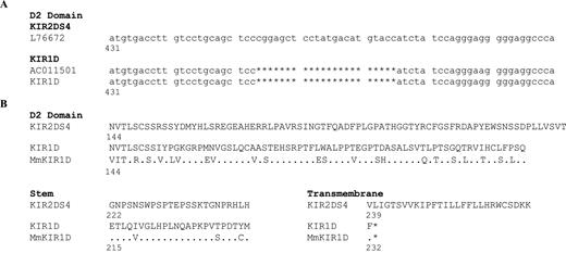 FIGURE 2. KIR1D is a deletion variant of 2DS4 resulting in significant amino acid change due to a frame shift. A, Nucleotide sequence alignment of KIR2DS4 cDNA (allele L76672 is used for comparison), KIR1D genomic DNA (haplotype sequence AC011501.7), and KIR1D cDNA (accession no. AY102624) demonstrates a loss of 22 nucleotides from exon 4 in KIR1D. B, Amino acid alignment reveals no homology between KIR1D and 2DS4 after amino acid 151, but demonstrates 72% homology to a MmKIR1D variant found in the rhesus monkey (accession no. AF334633).