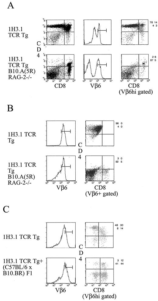 FIGURE 5. Intrathymic development of IL-2-dependent, Eα52–58:I-Ab complex-responsive, CD4−CD8− 1H3.1αβ TCR Tg T cells. A, Vβ6+ CD4−CD8− cells are present among TCRhigh thymocytes of 5-wk-old 1H3.1 αβ TCR Tg B10.A(5R) Rag-2−/− mice. The absolute number of Vβ6+ CD4−CD8− thymocytes in these mice ranged from 4 to 7.5 × 106 vs 0.5 to 1.8 × 106 in normal 1H3.1 TCR Tg at 5–7 wk of age. B, Vβ6+ CD4−CD8− thymocytes from 1H3.1 αβ TCR Tg B10.A(5R) Rag-2−/− mice expand in response to C57BL/6 APCs + Eα52–68 + IL-2 and remain Vβ6+ CD4−CD8−. Stimulations were performed and analyzed as in Fig. 2B. C, Intrathymic Vβ6+ CD4−CD8− cells from 1H3.1 αβ TCR Tg/I-Eα+ mice are not recirculating peripheral lymphocytes. Thymuses from 1H3.1 αβ TCR Tg and 1H3.1 αβ TCR Tg+ (C57BL/6 × B10.BR)F1 (i.e., Y-Ae+) fetuses were cultured for 9 days and analyzed as cell suspensions by flow cytometry-coupled immunofluorescence.
