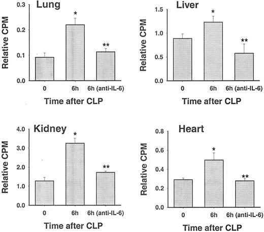 FIGURE 3. Effect of anti-IL-6 treatment on 125I-labeled anti-C5aR binding in vivo during sepsis. In vivo binding of 125I-labeled anti-C5aR to various organs in mice 0 and 6 h after CLP. Binding is expressed as the ratio of cpm per gram organ to cpm in 100 μl of blood from each animal obtained 15 min after i.v. injection of 125I-labeled anti-C5aR. ∗, Statistical significance (p < 0.05) from CLP mice sacrificed at 0 h. ∗∗, Statistically significant reduction of binding in organs of anti-IL-6-treated (1.33 mg/kg) CLP animals compared with those of CLP animals (sacrificed at 0 h). Data are representative of four to six animals per group.