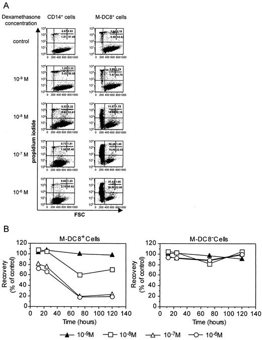 FIGURE 4. The effect of Dex on the survival of freshly isolated M-DC8+ and M-DC8− cells. Freshly isolated M-DC8+ and M-DC8− monocytes were cultured for 12, 24, 72, and 120 h in the presence of varying concentrations of dexamethasone. A, Flow cytometric analysis of PI uptake of M-DC8+ and M-DC8− monocytes at 120 h (shown for all different time points in B). The data are representative of three independent experiments.