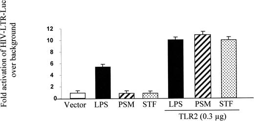 FIGURE 1. TLR2 is required for STF- and PSM-induced HIV-LTR trans-activation in the endothelial cell system. HMEC were transfected overnight with HIV-LTR-Luc construct (0.1 μg) and β-galactosidase (0.1 μg) with or without human TLR2 cDNA (0.3 μg). Cells were then stimulated with LPS (50 ng/ml), STF (5 μl/ml), or PSM (100 ng/ml) for 5 h, and Luc activity was determined to assess HIV-LTR activation. A β-galactosidase colorimetric assay was performed to normalize for transfection efficiency. Results are shown as the mean and SD of three or more independent experiments. Ligand-induced HIV-LTR trans-activation was reported as the fold increase above that observed with the empty vector control.