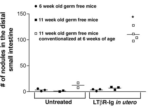 FIGURE 3. Mature ILFs are formed in response to normal gut flora. Six- and 11-wk-old germfree mice, 11-wk-old germfree C57BL/6 mice that had been conventionalized with normal cecal contents at 6 wk of age, as well as identical groups of mice that received LTβR-Ig in utero were examined for the presence of mature ILF in the distal small intestine. Six- and 11-wk-old germfree mice had few or no mature ILF regardless of LTβR-Ig therapy. Germfree mice that had been conventionalized by exposure to normal cecal contents developed a small number of mature ILF; however, this was significantly augmented by LTβR-Ig therapy. These findings document that lumenal stimuli, including normal gut flora, induce the formation of mature ILF. Each point represents the average number of nodules for one mouse, determined as described in Materials and Methods. ∗, p < 0.05 compared with the number of nodules in the distal small intestine of untreated C57BL/6 mice (Fig. 1a).