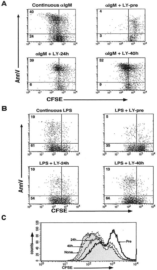 FIGURE 7. PI3K inhibitor has differential effects on cell division and death in B cells stimulated with anti-IgM vs LPS. B cells labeled with CFSE and stimulated with the anti-IgM (A) or LPS (B and C) were pre- or posttreated with LY294002 at the indicated times, harvested at 64 h, and stained with AnnexinVPE. Dot plots and quadrant numbers in A and B, and histograms in C, were generated as described in the legend to Fig. 6. A representative experiment of three is shown.