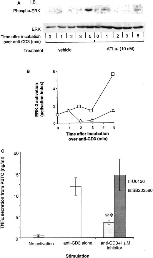 FIGURE 5. Inhibition of anti-CD3-induced phosphorylation of ERK in T cells by ATLa1. A, ALX-transfected Jurkat T cells were treated with ATLa1 (10 nM) or vehicle for 6 h at 37°C and then incubated over anti-CD3-coated wells for 1–5 min. Then the cells were placed over ice, added with cold PBS, collected, lysed, and run by SDS-PAGE. The separated proteins were blotted with anti-phospho-ERK Abs. Next, the membranes were stripped and blotted again with an Ab directed against total ERK. B, Densitometric analysis was performed for the representative blot and activation index was calculated as indicated in Materials and Methods. Different time 0 MD was used for vehicle (□) and ATLa1 (▵) treatments. C, Inhibition of anti-CD3-induced secretion of TNF-α from human T cells by MEK, but not p38 MAPK inhibitor. Freshly isolated T cells were treated with U0126 or SB203580 (1 μM) and then seeded over anti-CD3 (2 μg/ml)-coated wells and cultured for 65 h. Supernatants were collected and their TNF-α content was determined. ∗∗, p < 0.005 vs vehicle treatment. Results are the mean ± SD representative of three experiments.