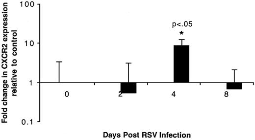 FIGURE 1. RSV infection induces CXCR2 expression in the lungs. BALB/c mice were infected with RSV and RNA was isolated from their lungs at 0, 2, 4, and 8 dpi. Following RNA purification, RNA was reverse-transcribed and analyzed using real-time PCR. Data are represented as the fold change in CXCR2 transcripts relative to uninfected animals. These data are representative of two experiments, with n ≥ 3 animals per group per experiment.