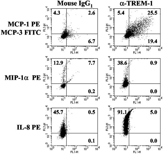 FIGURE 2. TREM-1 triggers the expression of proinflammatory chemokines. Primary monocytes were stimulated with isotype control (mouse IgG1) or anti-TREM-1 mAbs for 20 h and assayed for intracellular expression of various proinflammatory chemokines by flow cytometry. The numbers in each quadrant represent the percentage of cells staining positive for the Ab indicated. The results shown are representative of at least three independent experiments.