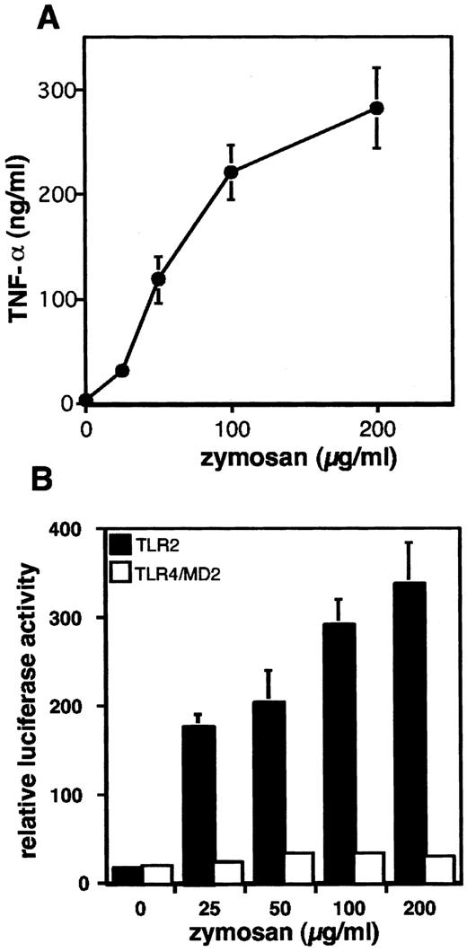 FIGURE 1. Zymosan-induced TNF-α secretion and NF-κB activation. A, RAW264.7 cells (5 × 105) were incubated with zymosan (25–200 μg/ml) for 24 h. The culture medium was collected, and TNF-α secreted was determined by L929 cell bioassay, as described in Materials and Methods. The data shown are the means ± SE of three experiments. B, HEK293 cells (2 × 105) were transfected with 166 ng of TLR2 cDNA in pcDNA3.1(+) vector (▪), or with 83 ng of TLR4 cDNA in pcDNA3.1(+) and 83 ng of MD-2 cDNA in pEFBOS vector (□), together with 30 ng of an NF-κB reporter construct (pNF-κB-Luc) and 3 ng of Renilla luciferase control reporter plasmid (pRL-TK). Forty-eight hours after transfection, the cells were stimulated with 25–200 μg/ml zymosan for 18 h. Luciferase activities were determined as described in Materials and Methods. The data shown are the means + SE of three experiments for TLR2-transfected cells and are the means of two experiments for TLR4/MD-2-transfected cells.