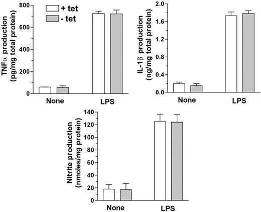 FIGURE 5. BTG1 is not involved in the inflammatory activation of microglia. Role of BTG1 in the inflammatory activation of microglia was investigated by comparing the production of inflammatory mediators such as TNF-α, IL-1β, and NO from BV-2/tet3 cells cultured in the presence (+ tet) or absence (− tet) of tetracycline by specific ELISA or Griess reaction. An increase in BTG1 expression by removal of tetracycline from growth medium did not significantly affect LPS-induced production of TNF-α, IL-1β, or NO (100 ng/ml LPS, 24 h treatment). Results are mean ± SEM of three independent experiments. No statistically significant difference was found between + tet and − tet for any of the inflammatory mediators tested.