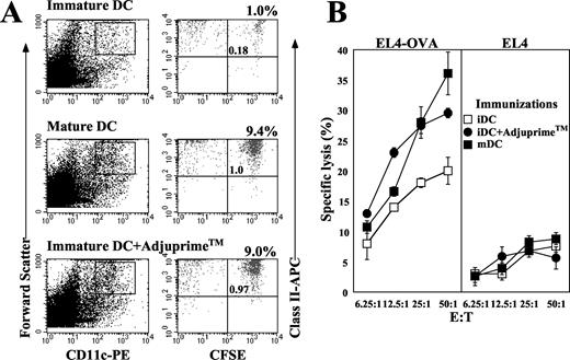 FIGURE 2. Migration and immunostimulatory function of immature and mature DC. A, Flow cytometry analysis: CFSE-labeled immature or mature DC were washed and injected intradermally into each ear pinna of the mouse. In one group, 15 min before injection of immature DC, the mice were injected with Adjuprime. Eighteen to 20 h post-DC injection, draining auricular lymph nodes were harvested, a single cell suspension was generated, and cells were analyzed by flow cytometry. To identify the DC subset, cells gated for CD11c+ large cells (left panels) were analyzed for class II expression and CFSE content (right panels). Injected DC are class IIhighCFSE+ (upper right quadrant of each right panel), whereas the class IIhighCFSE− represent the resident and newly immigrated, endogenous DC (upper left quadrant of each right panel). The percentage of total lymph node cells that are class II+ and CFSE+ is indicated within each quadrant. The number on top of each right panel indicates the percentage of migration of injected DC. This number is based on the percentage of DC that are class II+CFSE+ in the lymph nodes, the number of total cells in the lymph nodes, and the number of DC injected in the ear pinna. B, Functional analysis. Day 6 immature or day 9 mature DC transfected with OVA mRNA were injected intradermally into each ear pinna of the mouse. One group received Adjuprime before DC injection, as indicated. Seven days postinjection, draining auricular lymph nodes were harvested, a single cell suspension was generated, and the cells were cocultured for 5 days in the presence of OVA mRNA-transfected DC. CTL activity was determined using a standard cytotoxicity assay and OVA-expressing EL4 cells, and EL4 cells as targets. (iDC, immature DC; mDC, mature DC.) Data are representative of three experiments.