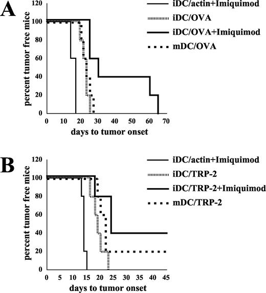 FIGURE 5. Inhibition of tumor growth in mice immunized with mRNA-transfected DC. A, B16/F10.9-OVA tumor model: C57BL/6 mice were immunized with actin or OVA mRNA-transfected DC, as described in Fig. 4. One week later, mice (five mice per group) were implanted s.c. with 1 × 105 B16/F10.9-OVA tumor cells, and tumor growth was monitored (see Materials and Methods). The log rank test (Mantel-Haenszel test) was used to determine the differences between individual groups. Relative to OVA mRNA-transfected immature DC, p value was .02 for mice immunized with OVA mRNA-transfected immature DC injected into Imiquimod-pretreated sites. The median time to tumor onset was 23 days for mice immunized with OVA mRNA-transfected immature or mature DC and 45 days for mice immunized with OVA mRNA-transfected immature DC injected into Imiquimod-pretreated sites. Data are representative of three experiments. B, B16/F10.9 tumor model: C57BL/6 mice were immunized with actin or TRP-2 mRNA-transfected DC. One week later, mice (five mice per group) were implanted s.c. with 1 × 105 B16/F10.9 tumor cells, and tumor growth was monitored. Relative to TRP-2 mRNA-transfected immature DC, p value was .02 for mice immunized with TRP-2 mRNA-transfected immature DC injected into Imiquimod-pretreated sites. The median time to tumor onset was 19 days for mice immunized with TRP-2 mRNA-transfected immature and 24 days for mice immunized with TRP-2 mRNA-transfected immature DC injected into Imiquimod-pretreated sites. Data are representative of two experiments.