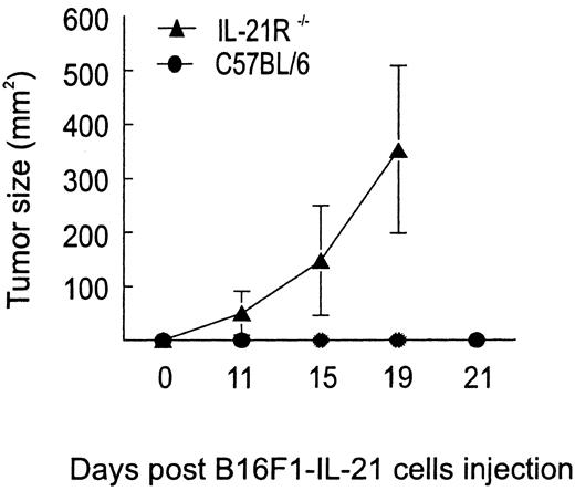 FIGURE 3. B16F1-IL-21 tumor growth in IL-21R−/− mice. B16F1-IL-21 cells (105/mouse) were injected into either IL-21R−/− or normal C57BL/6 naive mice. Tumor size was monitored twice weekly. Significant difference (p < 0.02) between B16F1-IL-21- injected IL-21R−/− mice and control C57BL/6 mice was observed.