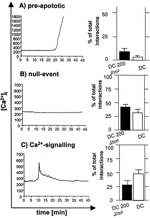 FIGURE 8. UVB irradiation of DC shifts the Ca2+ responses in CD4+ T cells to preapoptotic signals. CD4+ TCR-transgenic T cells were labeled with fura 2-AM, and Ca2+ influx during cell-cell contacts with unirradiated or 200 J/m2 UVB-irradiated DC were analyzed using a time lapse video microscopy system. DC-T cell contacts were sorted into three categories, depending on the resulting Ca2+ signal. A, Preapoptotic signals resulting in a breakdown of the membrane potential and massive Ca2+ influx; B, null events without any detectable Ca2+ changes; C, regular Ca2+ influx required for T cell activation. Statistical analysis of four independent experiments is depicted in the diagrams on the right. Bars represent the percentage of all events ± SEM for each category for untreated DC (□) or UVB-DC (□).