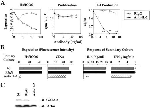 FIGURE 5. Neutralization of IL-2 in the primary culture of naive CD4+ T cells decreases the induction of H4/ICOS expression and the levels of H4/ICOS expression on activated CD4+ T cells and IL-4 production by these cells. A, A total of 5 × 105 naive CD4+ T cells from BALB/c mice were stimulated with anti-CD3 mAbs (2 μg/ml) and 5 × 105 syngenic APCs in the absence or presence of titrated amounts of RIgG or anti-IL-2 mAbs in a 48-well plate. After 40 h of culture, blasts were examined for expression of H4/ICOS on activated CD4+ T cells by flow cytometry. A total of 2 × 105 BALB/c naive CD4+ T cells was stimulated for 40 h with anti-CD3 mAbs (2 μg/ml) and 2 × 105 syngenic APCs in the absence or presence of titrated amounts of RIgG or anti-IL-2 mAbs in a 96-well plate, and uptakes of [3H]thymidine were examined. A total of 2 × 105 BALB/c naive CD4+ T cells was stimulated, as described above, for 43 h, and concentrations of IL-4 in culture supernatants were determined by sandwich ELISA. B and C, A total of 5 × 105 BALB/c naive CD4+ T cells were stimulated for 40 h with anti-CD3 mAbs (2 μg/ml) and 5 × 105 syngenic APCs in the absence or presence of RIgG or anti-IL-2 mAbs (30 μg/ml) in a 48-well plate. Blast cells were obtained, expanded with IL-2, and examined for expression of H4/ICOS and CD28, and production of IL-4 and IFN-γ (B), and GATA-3 and actin expressions in cell lysates (C), as in Fig. 1. These figures are representative of three independent experiments with similar results. ∗∗, p < 0.01 as compared with control culture in the presence of RIgG (A) or control cultures in the absence and presence of RIgG (B).