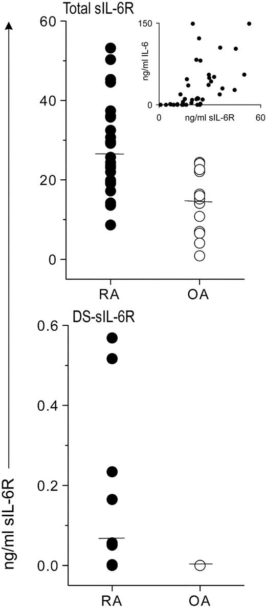 FIGURE 1. Soluble isoforms of IL-6R are elevated in RA. Concentrations of sIL-6R in synovial fluid from RA (•) and OA (○) patients. Each data point represents an individual patient (25 RA patients and 15 OA patients). The horizontal bars designate the mean for each condition (p < 0.001). A Pearson correlation coefficient value of 0.03 was obtained for sIL-6R and IL-6 and is displayed as an inset. DS-sIL-6R was detectable in approximately one-third of the above RA patients and in none of the OA patient synovial fluid.