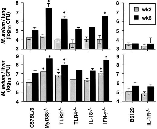 FIGURE 2. MyD88−/− mice show significantly impaired control of M. avium growth. Hepatic and pulmonary bacterial burdens (CFU) in WT and KO mice were compared at wk 2 (gray bar) and 6 (filled bar) following i.v. infection with M. avium. The means (± SD) of three to four mice per time point are shown. The significance of the differences in CFU between WT and KO strains was compared by ANOVA (∗, p < 0.05). The experiment shown is representative of two performed.