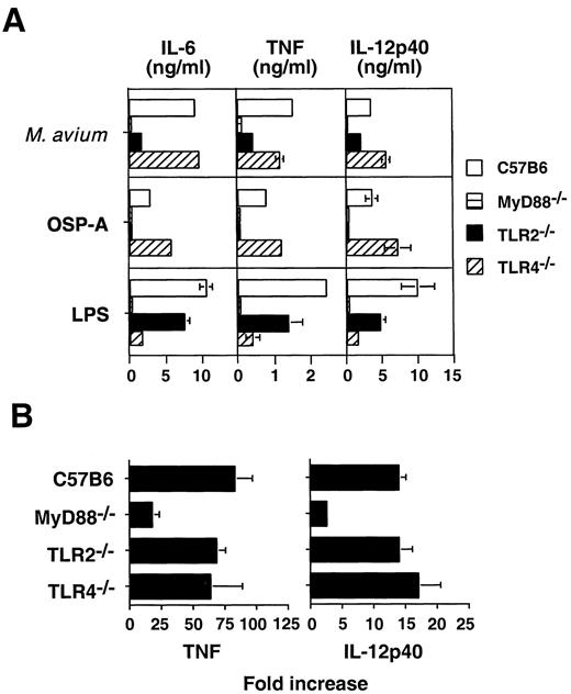FIGURE 5. MyD88 is essential for proinflammatory cytokine responses to M. avium infection. A, MyD88−/− and TLR2−/− macrophages show diminished production of IL-6, TNF, and IL-12p40 in response to M. avium infection in vitro. Bone marrow-derived macrophages from WT and KO mice were stimulated with OSP-A, LPS, or live M. avium. Secreted IL-6, TNF, and IL-12p40 were determined 72 h later by ELISA. The data shown are the means (±SD) of triplicate cultures. B, TNF and IL-12p40 mRNA expression is impaired in the livers of 2-wk infected MyD88−/−, but not TLR2−/− or TLR4−/−, mice. Cytokine mRNA levels were determined by real-time PCR and expressed as fold increase compared with the baseline levels of uninfected animals. The mean (±SD) of three to four individual mice is shown. Data shown are representative of two separate experiments performed.