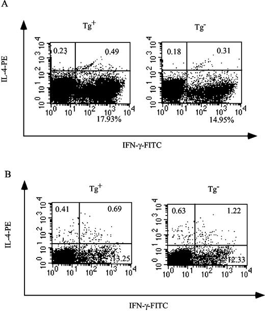 FIGURE 5. Differentiation of Th1 cells from Hlx transgenic and wild-type naive CD4 T cells. Naive CD4 T cells from Hlx transgenic and wild-type mice were stimulated with Con A under in vitro Th1-polarizing (A) or Th0 (B) conditions for 4 days. The differentiated Th1 cells were rested, then subjected to CD4 and intracellular staining of IL-4 and IFN-γ. Dot plots of IFN-γ and IL-4 staining on gated CD4 T cells are shown. The percentages of IFN-γ positive cells are shown.