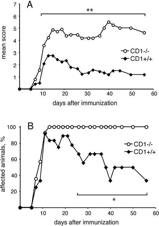 FIGURE 1. CD1−/− mice develop augmented chronic EAE. Average clinical score (A) and percentage of EAE-affected animals (B) are significantly higher in CD1−/− (n = 14) compared with CD1+/+ mice (n = 12). Figures show results from two different experiments, with balanced groups, taken together. ∗, p ≤ 0.05. ∗∗, p ≤ 0.01.