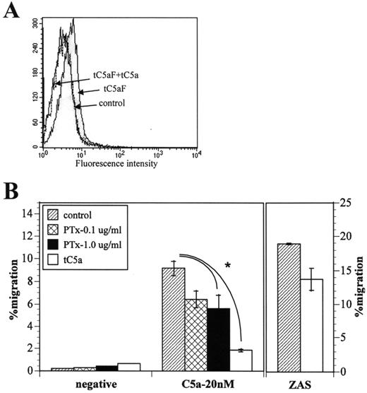 FIGURE 6. Desensitization of the tC5aR. A, Flow cytometric analysis showing a loss of tC5aF-binding capacity after HKL were pretreated with tC5a (1 × 10−8 M) for 5 h at room temperature, followed by two washes (tC5aF + tC5a). Sham-treated cells showed normal binding (tC5aF), and the control represents the autofluorescence of the cells. B, Chemotaxis of trout HKL toward 2 × 10−8 M tC5a or ZAS (1%). Cells were preincubated with PTx (0.1 and 1.0 μg/ml) or tC5a (1 × 10−8 M), or were sham treated (control) for 5 h at room temperature, followed by two washes. Medium without chemoattractant served as a negative control (negative). Migration was significantly inhibited by pre-exposure to PTx (1 μg/ml) and 1 × 10−8 M tC5a (∗, p < 0.05, Duncan New Multiple Range Test). The bars represent the number of migrated cells expressed as a percentage of the total number of cells (means of duplicate values ± SEM).