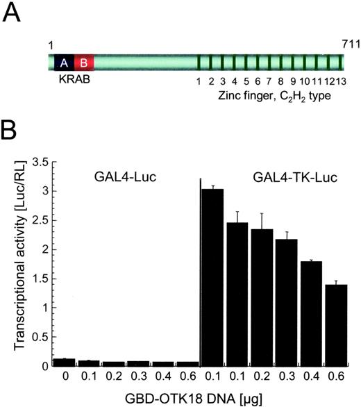 FIGURE 1. OTK18 is a transcriptional suppressor. A, Cartoon depiction of full-length OTK18, including the 13 zinc finger region. B, GBD-OTK18 suppresses TK promoter-driven transcription. HEK 293 cells were transfected with pGBD-OTK18 (0.1–0.6 μg), pGBD (0.1–0.6 μg), pTK-RL (0.1 μg), and either GAL4-Luc or GAL4-TK-Luc (0.3 μg) using Lipofectamine Plus.
