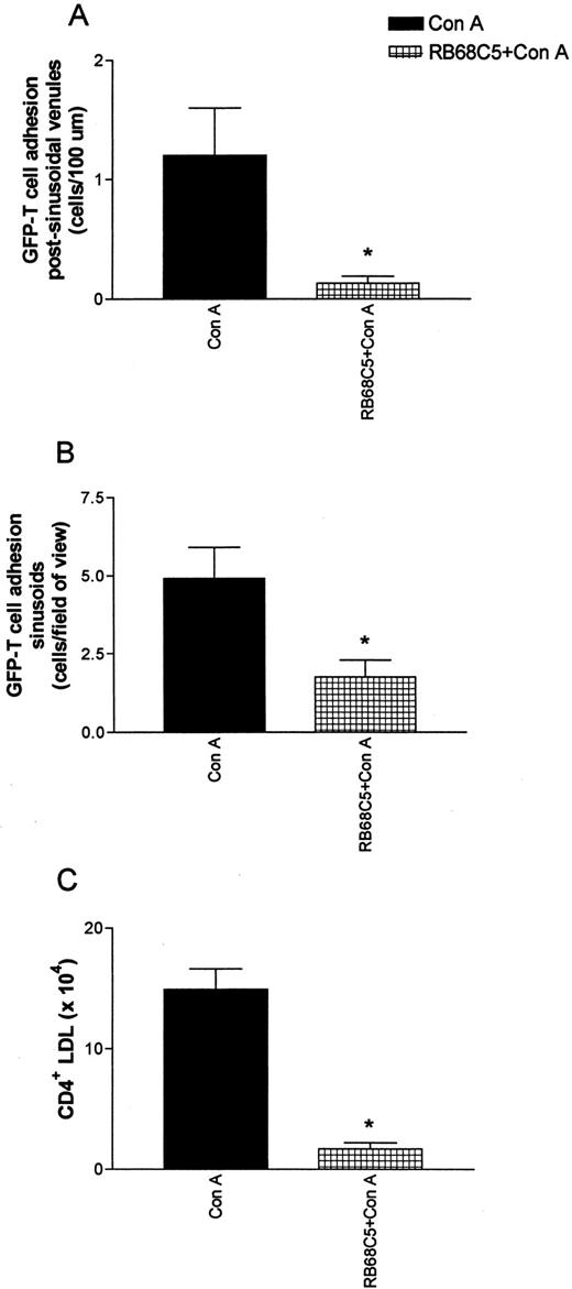 FIGURE 9. Neutrophil depletion reduces lymphocyte recruitment and adhesion in the livers of Con A-treated mice. GFP-lymphocyte adhesion in A, the postsinusoidal venules and B, sinusoids of Con A-treated (▪) or RB6-8C5-treated ( ) mice. In C, total CD4+ T lymphocyte counts from the whole liver of Con A-treated (▪) or RB6-8C5 + Con A-treated ( ) mice. Data are presented as the arithmetic mean ± SEM of 12 mice per group for A and B, and 3 mice per group for C. ∗, p < 0.05 relative to Con A alone.