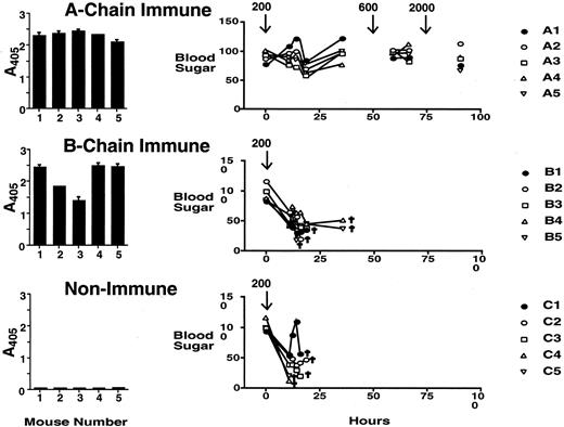 FIGURE 1. Protection against ricin challenge by mice immunized with either RAC or RBC. Mice were immunized with RAC, RBC, or saline (10 μg of A or B chain sc in CFA, followed 1 mo later by 10 μg i.p. in IFA; challenge was performed 1 mo later). ELISA results are on the left; the response to challenge is on the right. ELISA was performed with a 1/5000 dilution of serum. Results are the mean and SEM of triplicate samples. The challenge dose in micrograms per kilogram is indicated above the arrow. Crosses indicate euthanized mice. No control mice or B chain-immune mice survived the initial challenge, whereas all A chain-immune animals survived three successive challenges with 200, 600, and 2000 μg/kg. This is one of two different experiments yielding essentially the same observations.